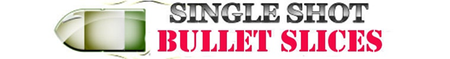 SingleShotSlices logo